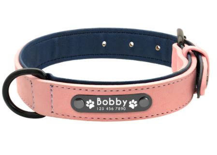 Dog Collar belt